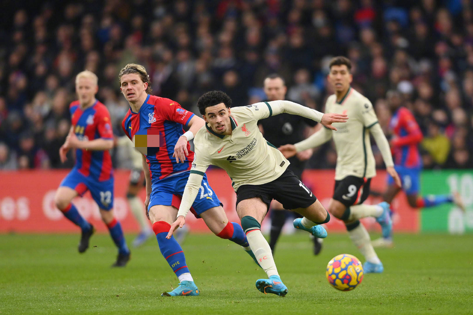 無疑為球迷 無疑為球迷